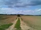 Foto : Polia