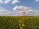 Foto : lt polia
Eurobrew
