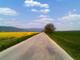 Foto : Obilie
